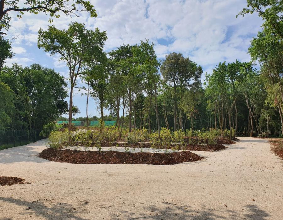 Zona parcela 15 - Autokamp Lanterna